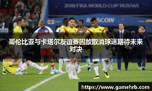 哥伦比亚与卡塔尔友谊赛因故取消球迷期待未来对决